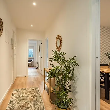 Akicity Anjos Moss Lissabon